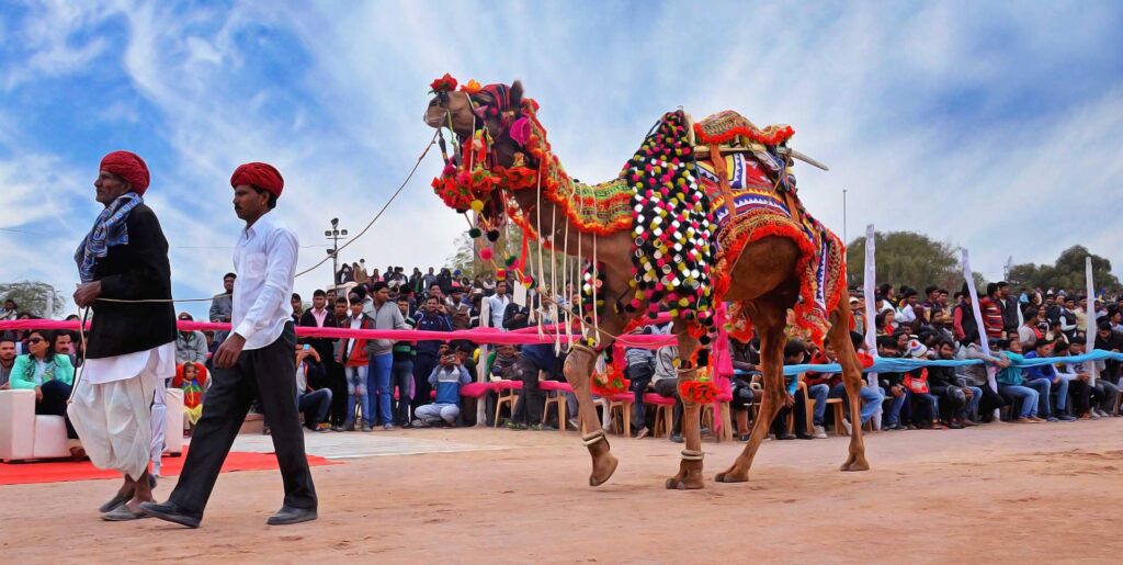 pushkar camel fair unique festivals of india