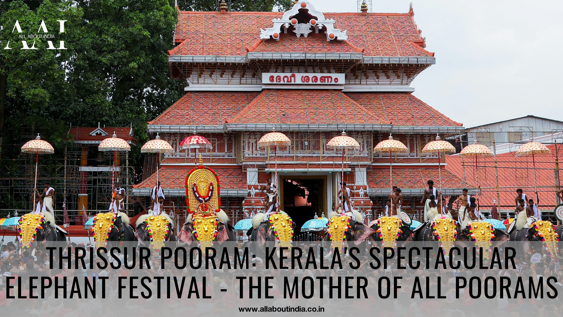 Thrissur Pooram: Kerala's Spectacular Elephant Festival - The Mother of All Poorams